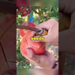 Basics For Good Healthy U #food #wellbeing #wellness #health #naturalremedy #healthylifestyle #facts