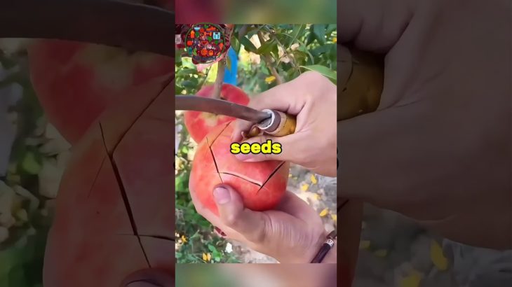 Basics For Good Healthy U #food #wellbeing #wellness #health #naturalremedy #healthylifestyle #facts