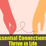 3 Essential Connections to Thrive in Life | Psychology Tips for Well-Being
