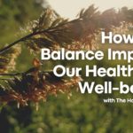 How Can Balance Improve Our Health and Well-being? | The Harmony Project | Pure Land Foundation