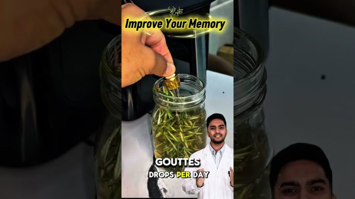 Improve Your Memory and Relieve Your Headaches! #Rosemary  #Memory #Health #Well-Being #Headaches