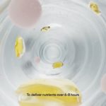 Slow, steady & effective Multi + Omega for Her  | Wellbeing Nutrition