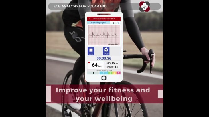 ECG Analysis For Polar H10.