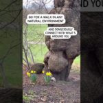 Small Steps to Wellbeing and Self Care #digitalplanner #mindfulness #intentionalliving #selfcare