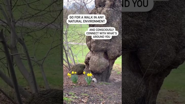 Small Steps to Wellbeing and Self Care #digitalplanner #mindfulness #intentionalliving #selfcare