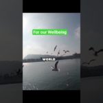 A Prayer For Wellbeing #prayerandpurpose #powerfulprayer #prayers