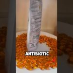 Aceite de Orégano + Semilla Negra | Defensas Fuertes y Bienestar Natural 💪