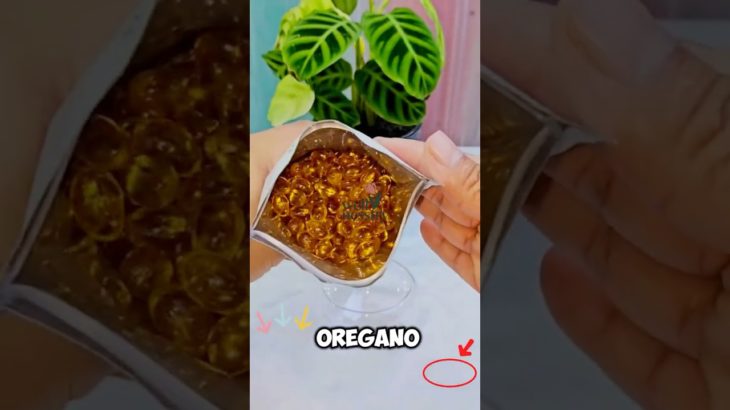 🌿 Aceite de Orégano + Semilla Negra | Defensas Fuertes y Bienestar Total 💪🔥