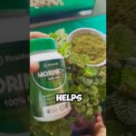 Cápsulas de Moringa | Energía Natural y Bienestar Diario 🌿