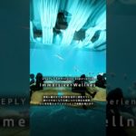 DEEPLY Immersive Experience Immersive × Wellbeing