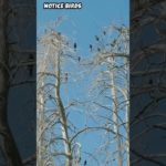 “Enjoy Mindful Walks Without Your Phone and Boost Your Wellbeing”.(15 Nov, 2025)