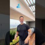 SALUD REAL EN 55 SEGUNDOS | REARMANDO TU VIDA — SALUD • ENERGÍA • BELLEZA DESDE ADENTRO