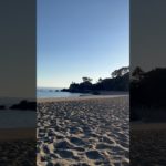 パワースポットでヒーリングin桂浜　磁場調整#スピリチュアル #ヒーリング #そらのリズム