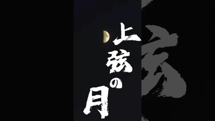 【月に思いを馳せる】上弦の月 #shorts #月 #スピリチュアル
