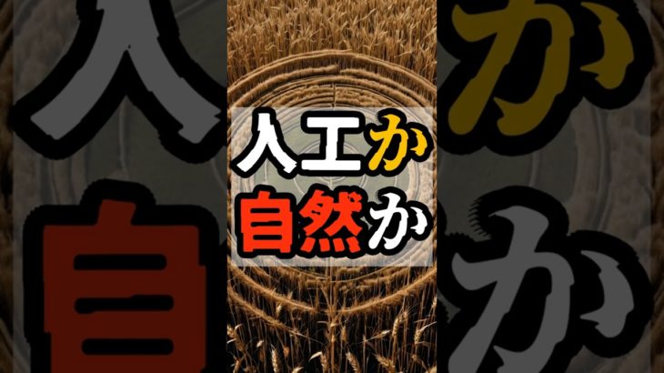 人工か自然か【 都市伝説 予言 予知能力 ミステリー スピリチュアル 】