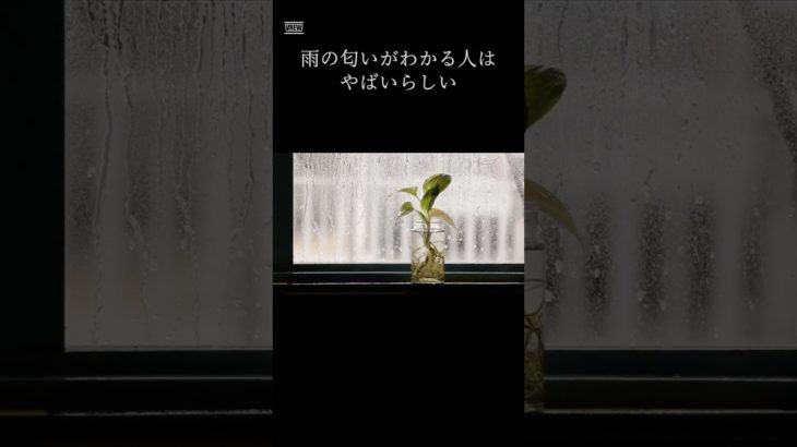 雨の匂いがわかる人はヤバいらしい#スピリチュアル #前世 #魂の目覚め #波動 #直感 #覚醒 #エネルギー感覚 #雨の匂い