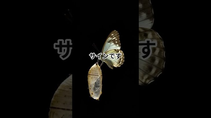 あの人と縁が切れる前兆サイン#スピリチュアル #絶縁 #人間関係