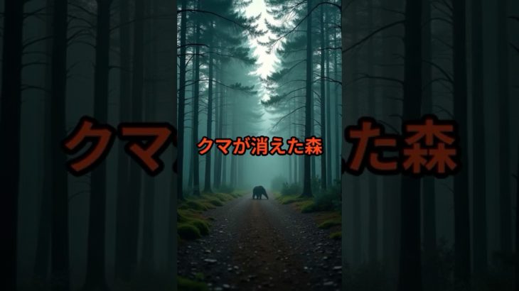 クマが消えた森【 怪談 予知 スピリチュアル オカルト 日本 】【予告編】