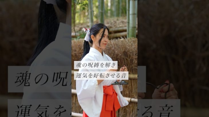 魂の呪縛を解き、運気を好転させる音#スピリチュアル#スピリチュアルメッセージ#スピリチュアルカウンセラー#浄化#波動#運気#邪気祓い