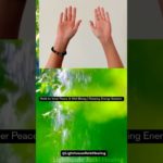 Reiki for Inner Peace & Well-Being | Relaxing Energy Session #reiki #trending #meditation #healing