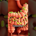 What Yogurt Does Inside Your Body Probiotics, Gut Microbiome, and Hidden Health Benefits