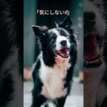 無自覚な一撃   #雑学#shorts #プチ知識 #スピリチュアル  #人間関係