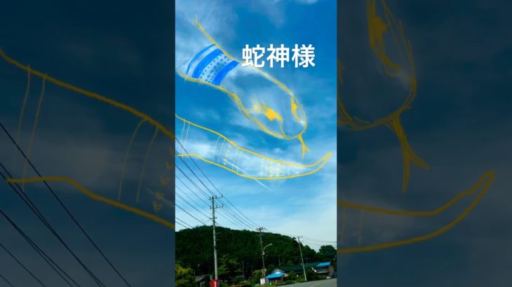 縁起物‼️まさかの蛇神さま降臨‼️ #縁起物 #開運 #神秘体験 #スピリチュアル #神社 #shorts
