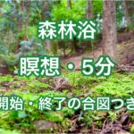 【森林浴・瞑想・5分（開始と終了の合図つき）／癒し・リラックス・自律神経を整える】