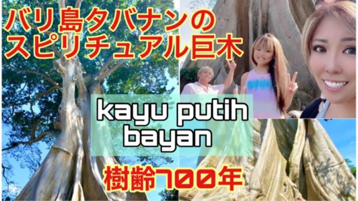 バリ島のスピリチュアル巨木【カユプティ バヤン】樹齢700年の木の迫力は凄かった！！KAYU PUTIH BAYAN