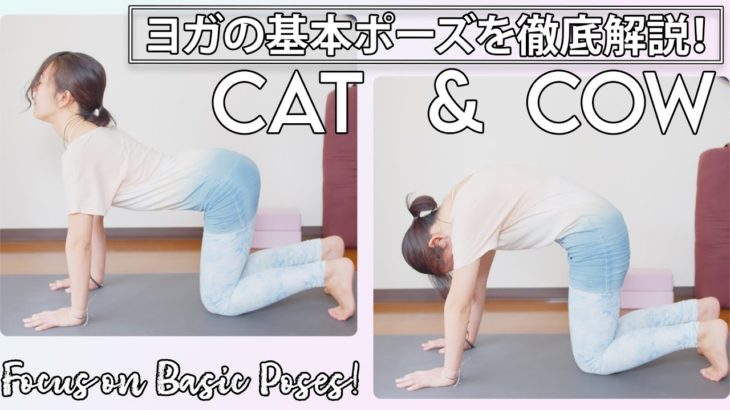 【ヨガの基本ポーズ解説Vol.1】キャット＆カウ〜がちがち背中を緩める | Megumi Yoga Tokyo #116