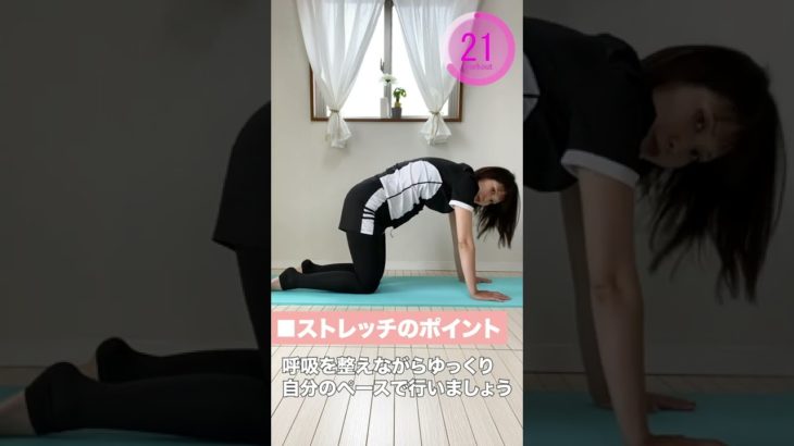 [妊婦体操] 背中をほぐして反り腰・猫背解消！（マタニティヨガ） #shorts