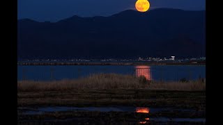 ６月１０日新月スピリチュアルメッセージ