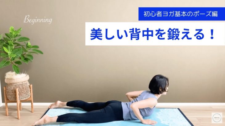 初心者ヨガ　夏だ！背中だ！背中を鍛えよう！〜コブラのポーズ〜