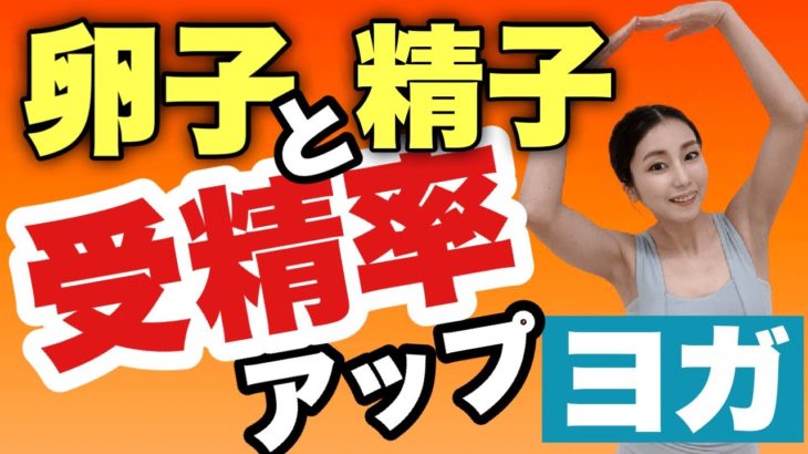 【妊活ヨガ】妊娠の第一歩！卵子と精子の出会いを確実にする！