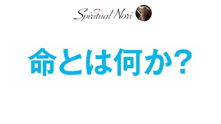 命とは何か？宇宙の全ては生きている！（後半は皆様のコメント紹介＆質問にお答え）