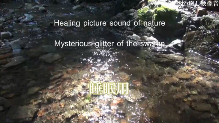 自然の音【自然の癒し映像音】谷川の神秘のきらめき・睡眠、癒し、自然音、リラクゼーション　1時間　Mysterious glitter of Mountain stream