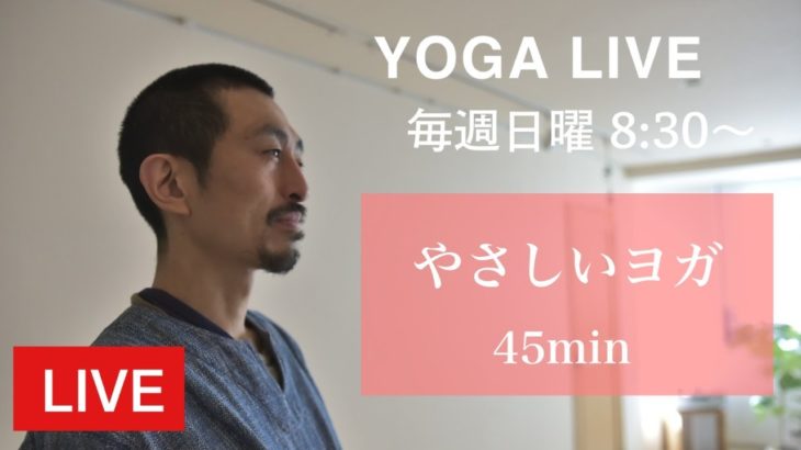 やさしいヨガ（45min Live）