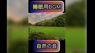 睡眠用BGM 癒しの音 自然の音 夏の夕方 夕涼みでゴロンとお昼寝にどうぞ☺️✨