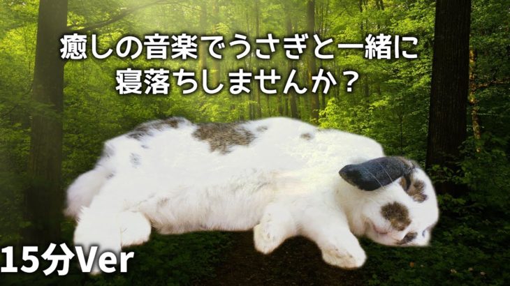 【睡眠用BGM】15分の癒し音楽でうさぎと一緒に寝落ちしませんか？Sleep introduction music 睡眠導入、ストレス緩和、読書、勉強BGMにもおすすめ