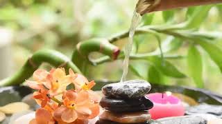 天にも昇るような癒しの睡眠導入音楽｜極上のヒーリングミュージックで睡眠の質を向上 安眠効果｜ソルフェジオ周波数 リラクゼーション | Relaxing Music – 寝かしつけ 音楽 #癒し音楽