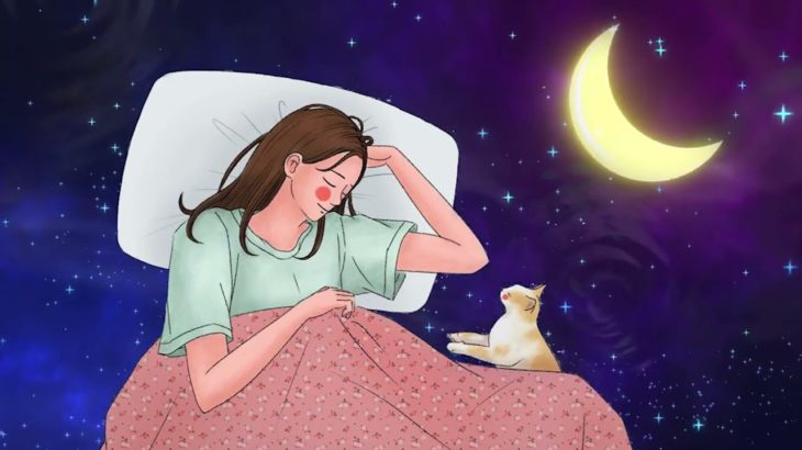 良い夢を見るための睡眠音楽, 癒し 音楽🌹,リラックス 音楽 ピンクの夢,勉強 集中 音楽,作業用bgm 10