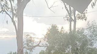 夏至ヒーリング瞑想ラスト！ありがとうございました！本音話しお多め（笑）　