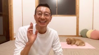 安眠のヨガ・ライブ！