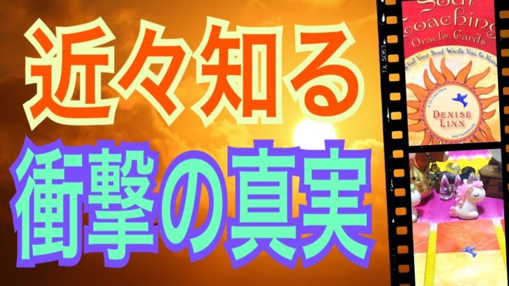 【真実】近々知る😳衝撃の真実‼️びっくりするほど、真実がわかる😆👍オラクルカードリーディング✨スピリチュアルカードリーディング✨占い✨３択✨