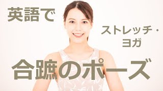 合蹠のポーズとバタフライポーズ【英語でストレッチ・ヨガ】