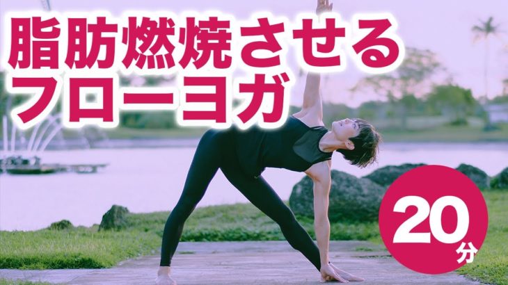 【ヨガ20分】脂肪燃焼させるフローヨガレッスン