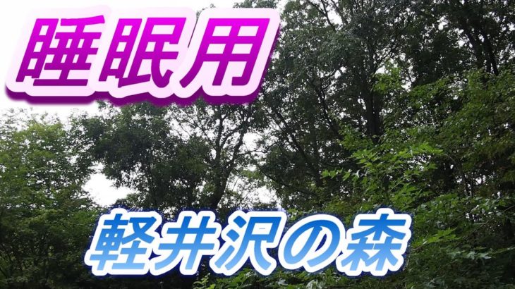 【睡眠導入用１０分】セミ・野鳥の声「癒しのBGM」　IN　軽井沢