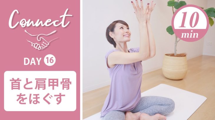 【Day16】 Connect – 30 Days Yoga　首と肩甲骨をほぐす #435