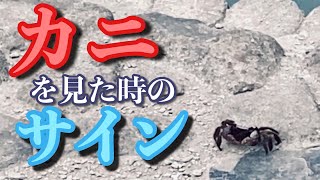 【スピリチュアル】カニを見た時のサイン　#Short