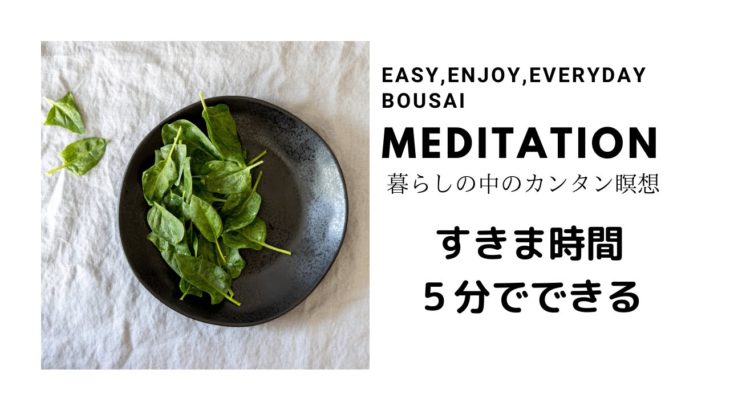 はじめてのマインドフルネス